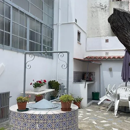 Patio Da Foz - Tres Accueillant Centre-ville Apartment *