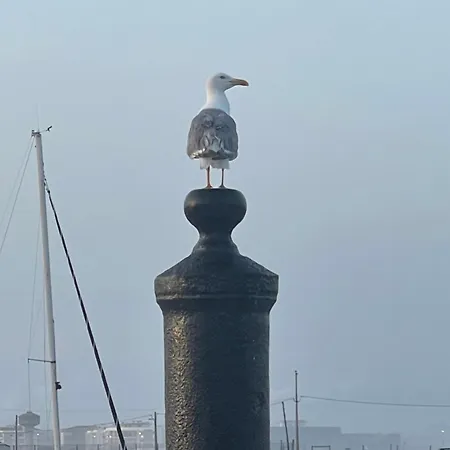 Patio Da Foz - Tres Accueillant Centre-ville فيغيورا دا فوز