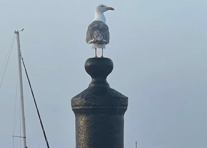 Patio Da Foz - Tres Accueillant Centre-ville 菲盖拉-达福什